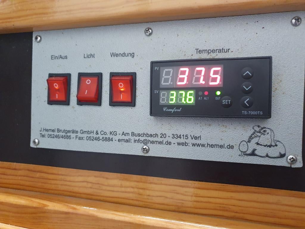 Broedservice Westerkwartier, Dieren en Toebehoren, Geslacht onbekend