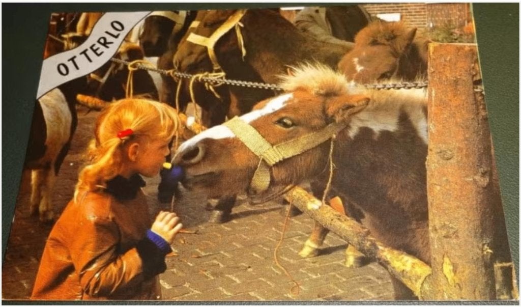 Paard - Meisje en paard - Otterlo, Verzenden, 1980 tot heden, Gelopen, Paard