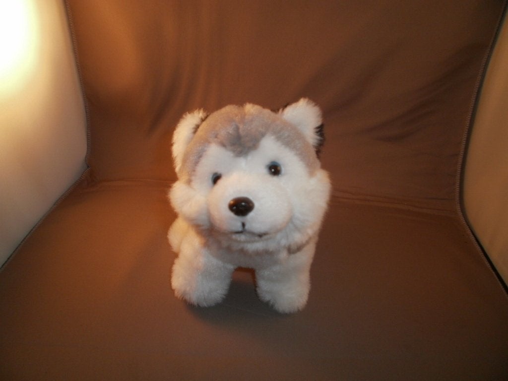 Keel toys husky hond wit grijs zwart 15 cm hoog velours nr c, Overige merken, Overige karakters, Zo goed als nieuw, Middelgroot (20 tot 80 cm)