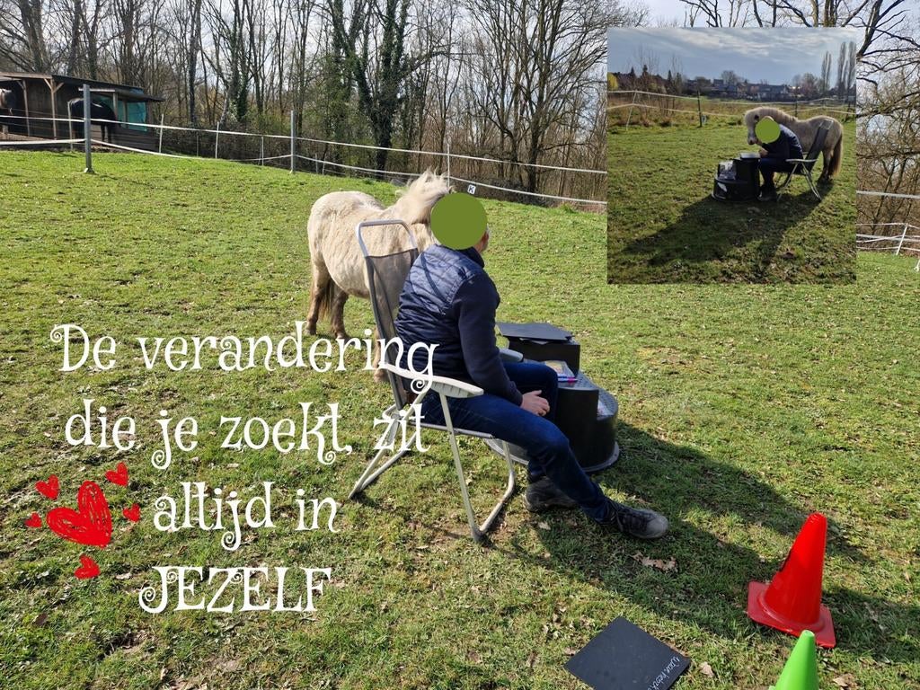 Het paard als jouw coach?