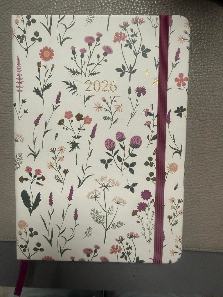 Agenda 2026 nieuw, Ophalen of Verzenden, Nieuw