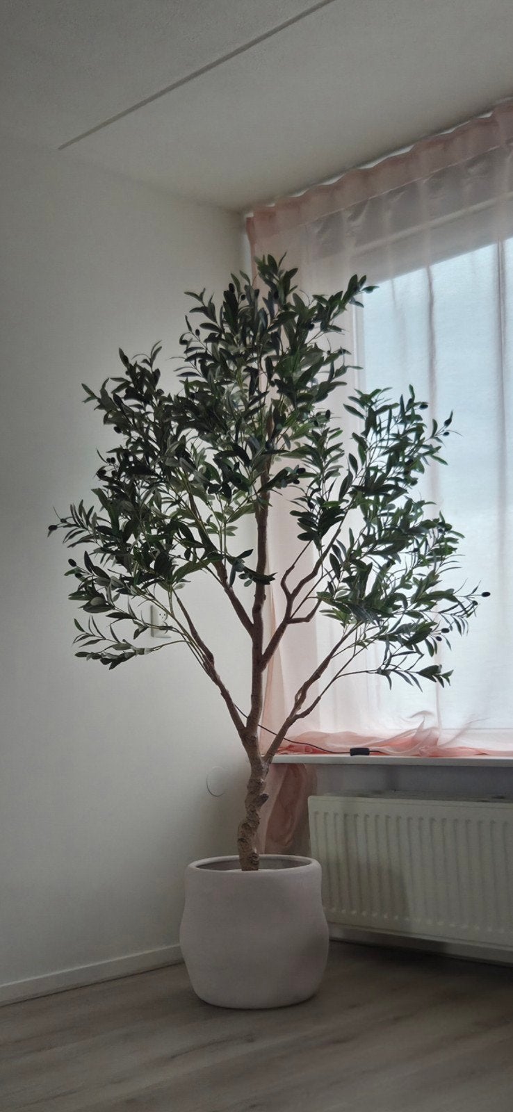 Grote kunst olijfboom in organische pot van Intratuin, Ophalen, Zo goed als nieuw, Meerkleurig, Binnen