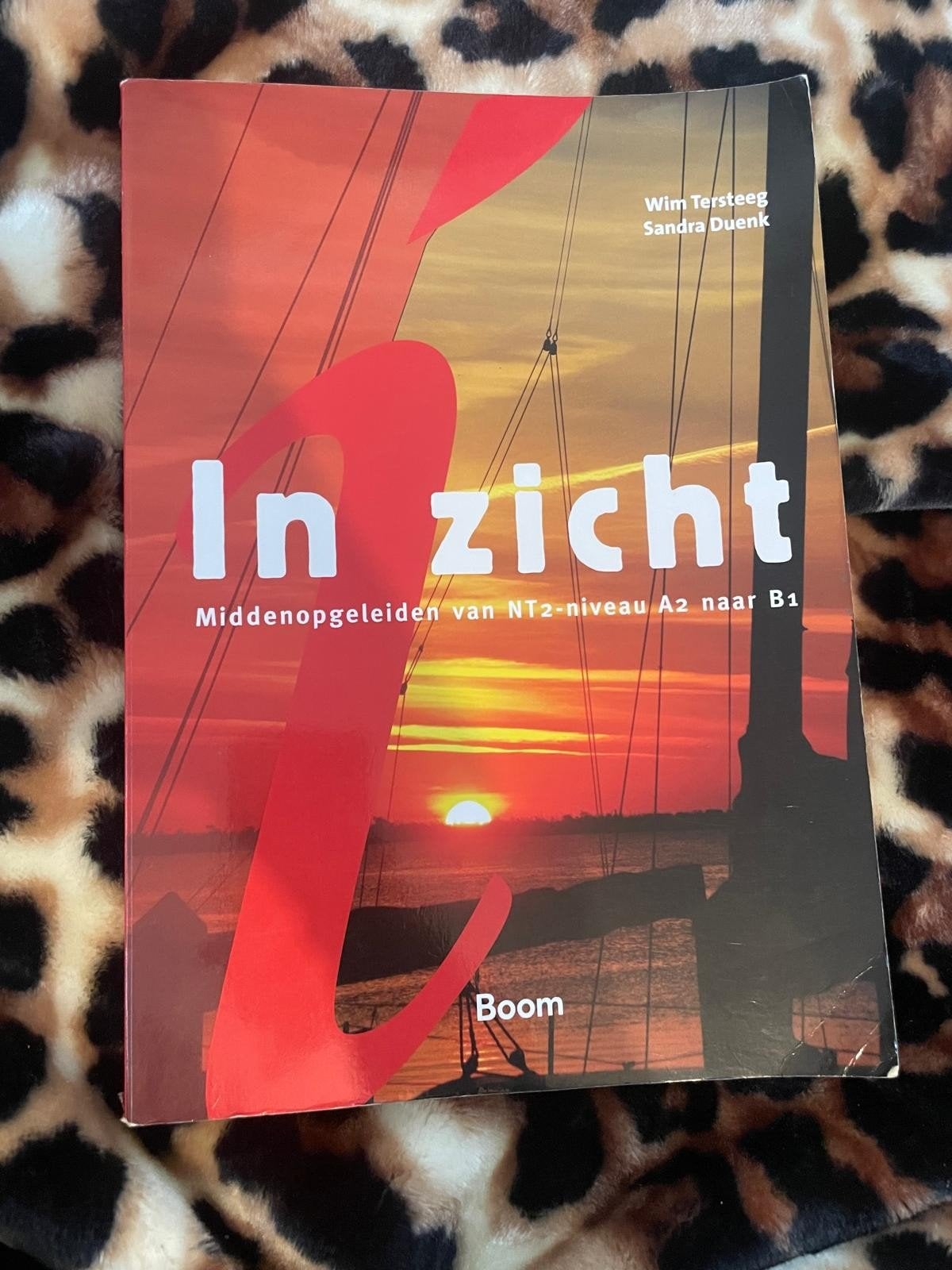 Inzicht taal boek, Ophalen of Verzenden
