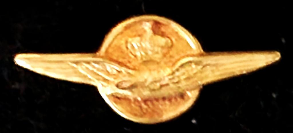 Luchtmacht speld- goudkleur, Verzamelen, Verzenden, Nieuw, Stad of Land, Speldje of Pin