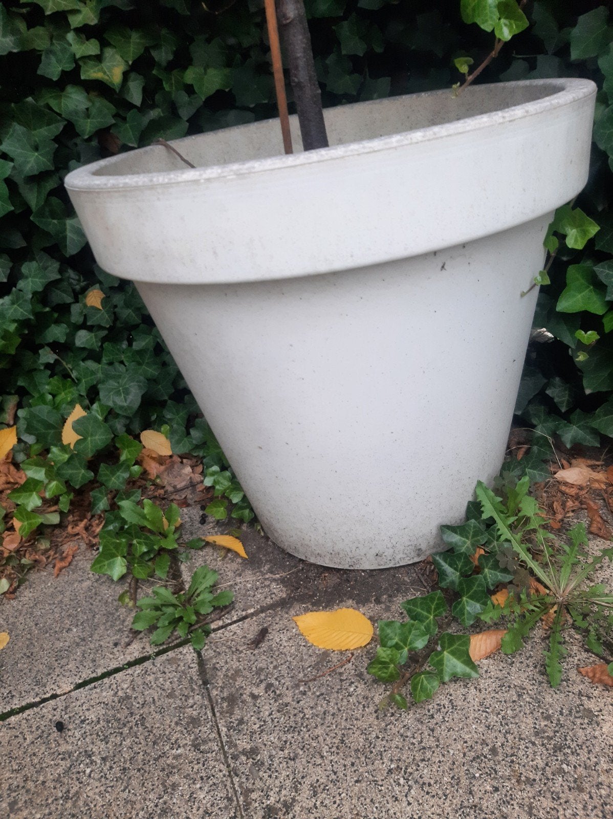 4   witte plastic bloempotten, Ophalen, Rond, Kunststof, Minder dan 30 cm