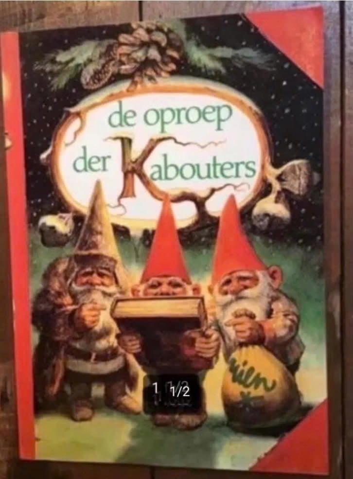 De oproep der kabouters door Rien Poortvliet en Wil Huygen., Boeken, Ophalen of Verzenden, Gelezen, Rien Poortvliet, Prentenboek