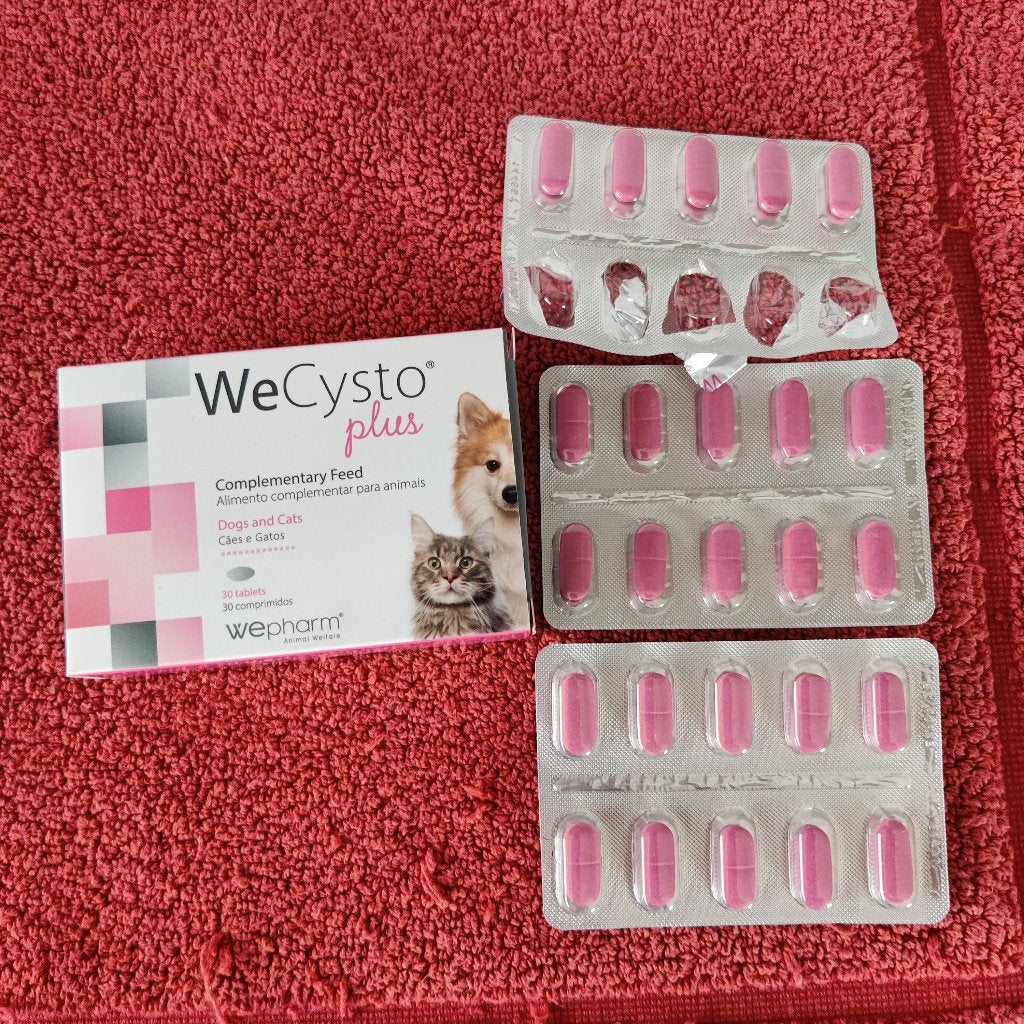 WeCysto Plus tabletten, Ophalen of Verzenden, Kat