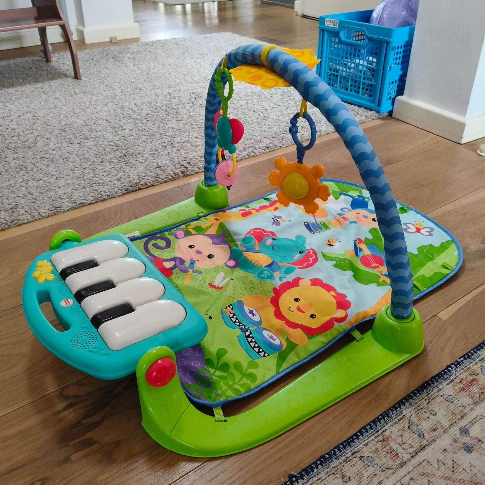 Fisher-Price Muziek Speelkleed met Piano en Speelboog, Ophalen, Gebruikt, Speelkleed, Met geluid