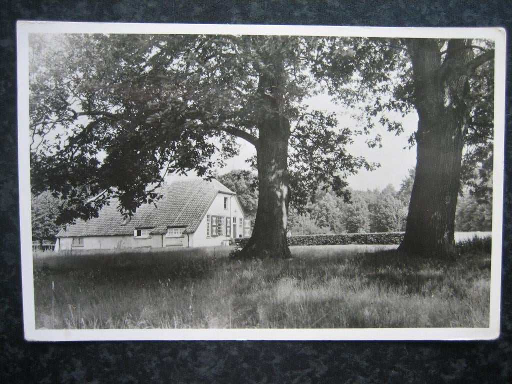 HOGE VELUWE Huis De Pampel, Ophalen of Verzenden, 1940 tot 1960, Gelderland