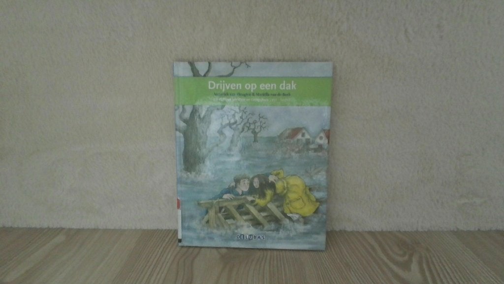 Boek-Drijven op het dak, Auto diversen, Ophalen, Dakdrager