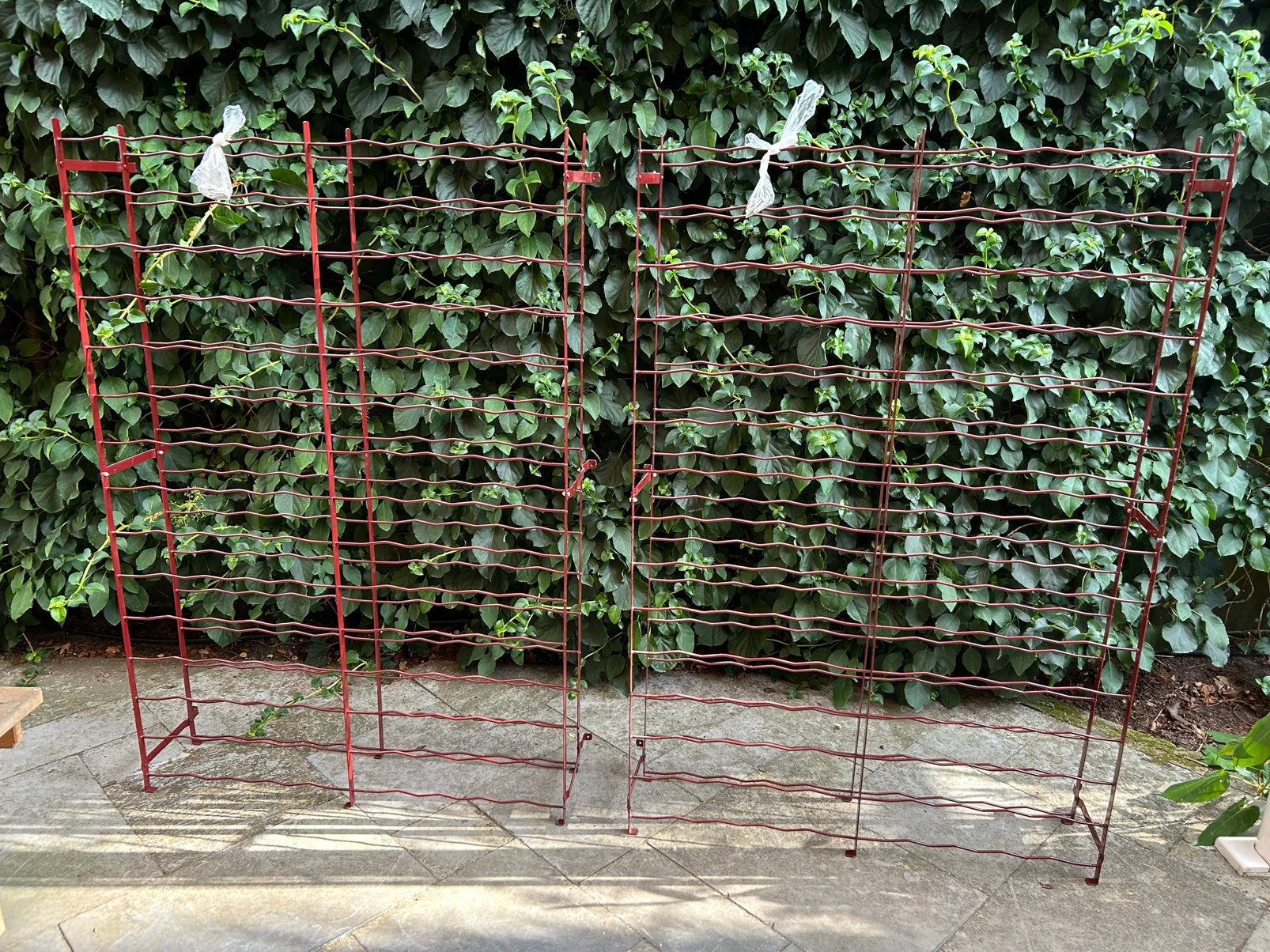 2 rode wijnrekken, Tuin en Terras, Ophalen, Gebruikt, IJzer, Overige typen