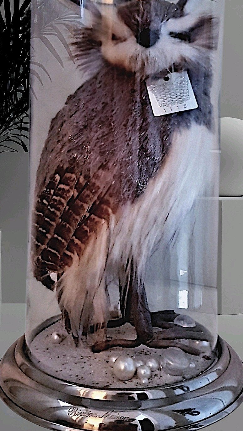Rivièra maison hurricane met decoratie uil
Faux fur

50€ vas, Ophalen
