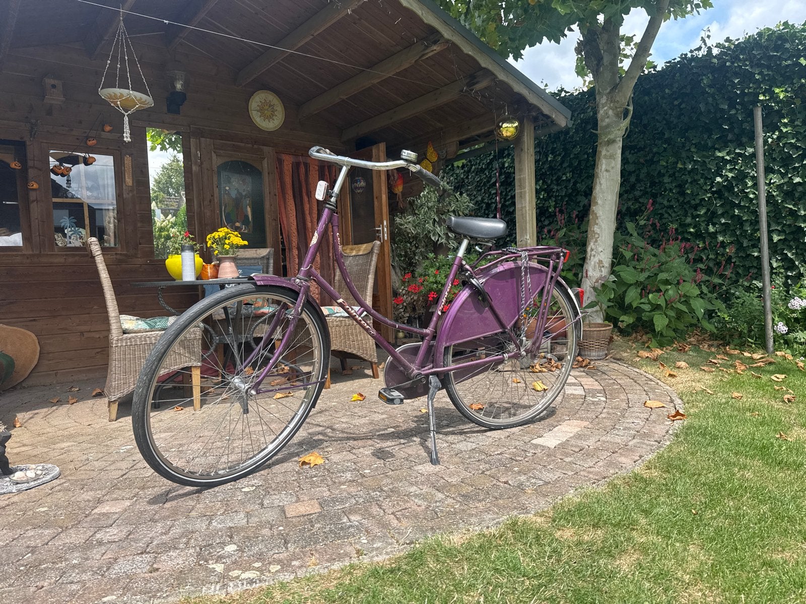 Pointer Glorie damesfiets met terugtraprem studenten fiets, Ophalen, Terugtraprem, Gazelle, 53 tot 56 cm