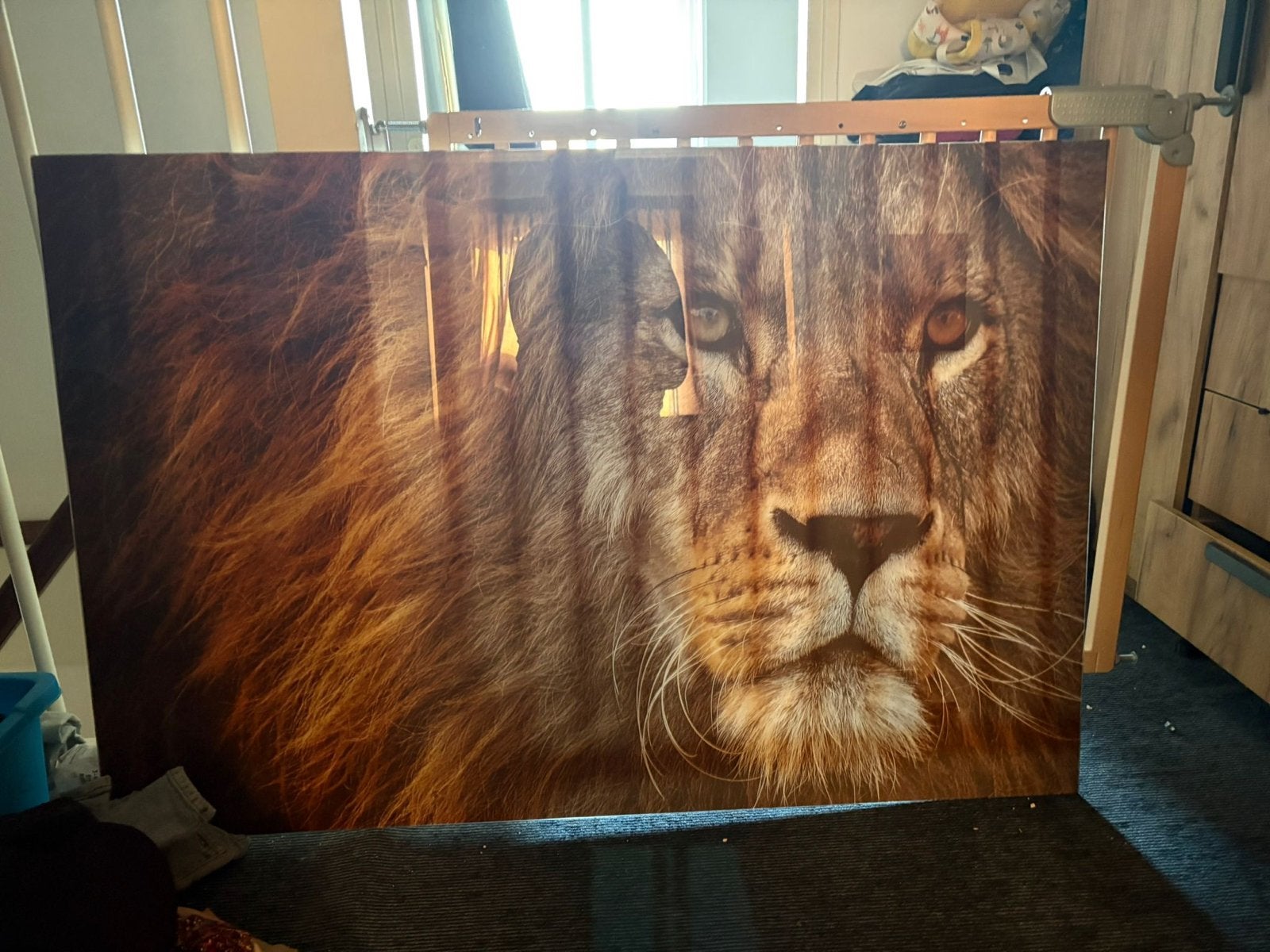Glazen schilderij leeuw - indrukwekkende wanddecoratie, Gebruikt, 125 cm of meer, Ophalen of Verzenden, Schilderij