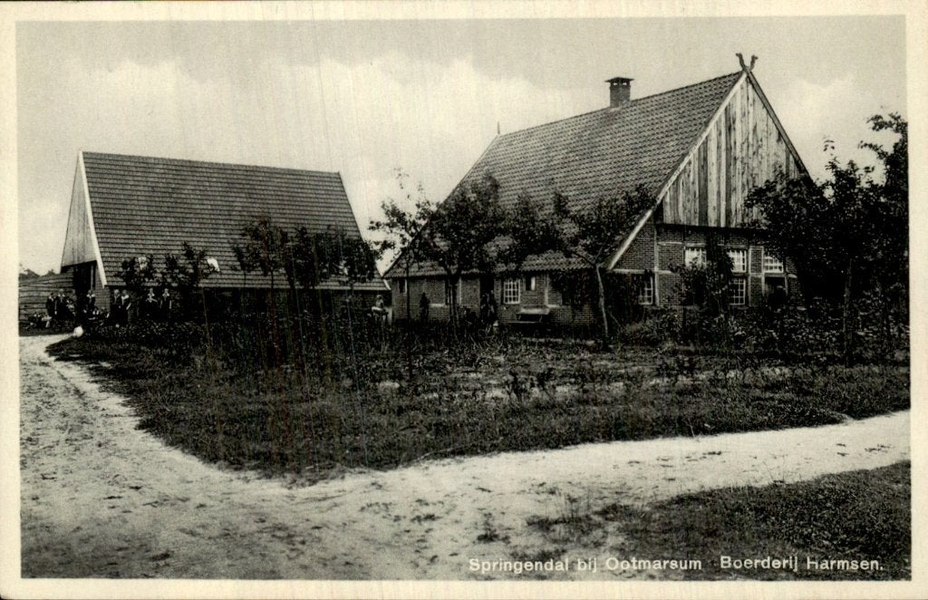 Springendal bij Ootmarsum - Boerderij - Harmsen, Ophalen of Verzenden, Voor 1920, Gelopen, Overijssel