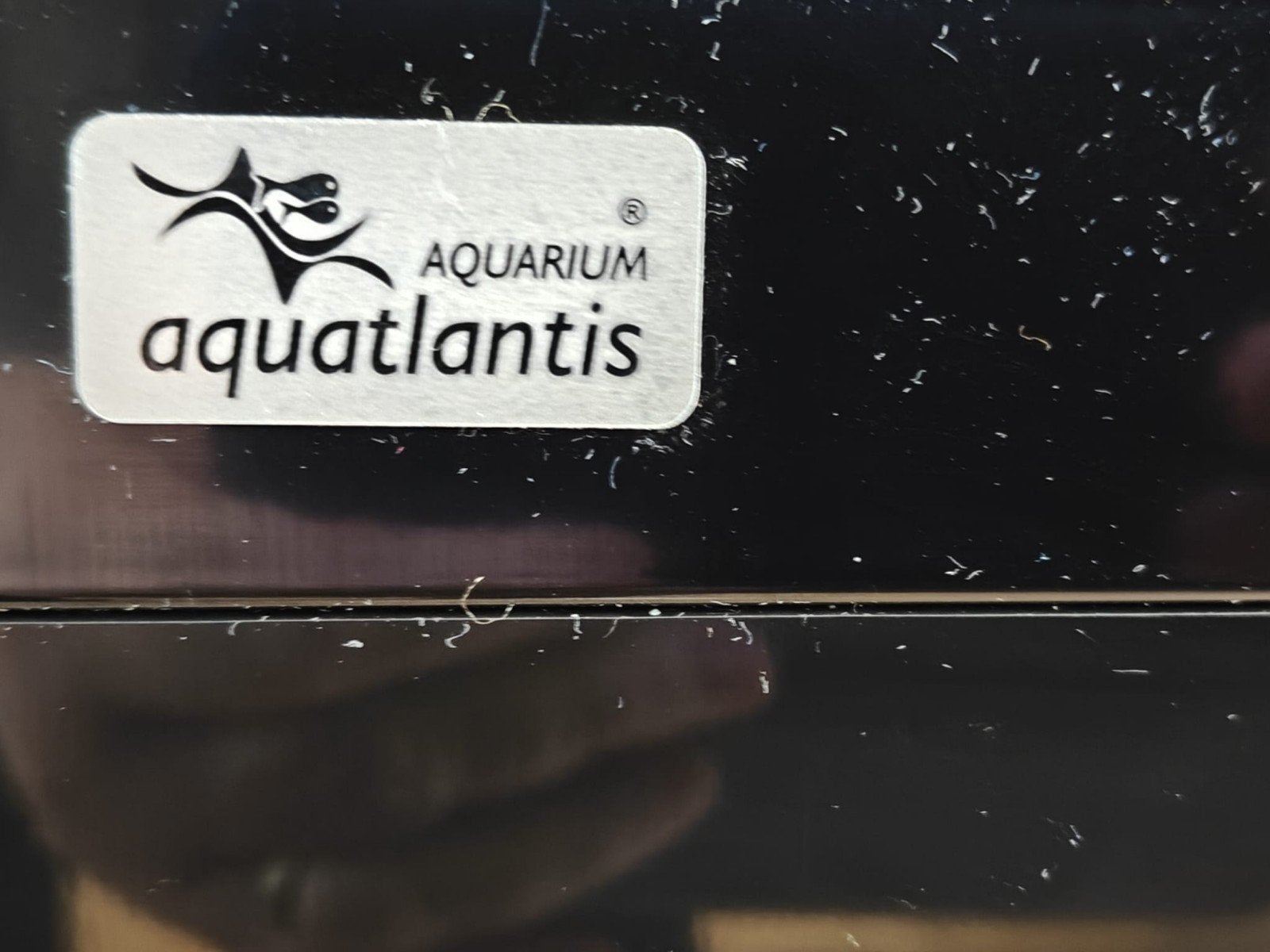 Aqualantis Aquarium 400 liter(Eheim Pro Buitenfilter), Ophalen, Gevuld zoetwateraquarium