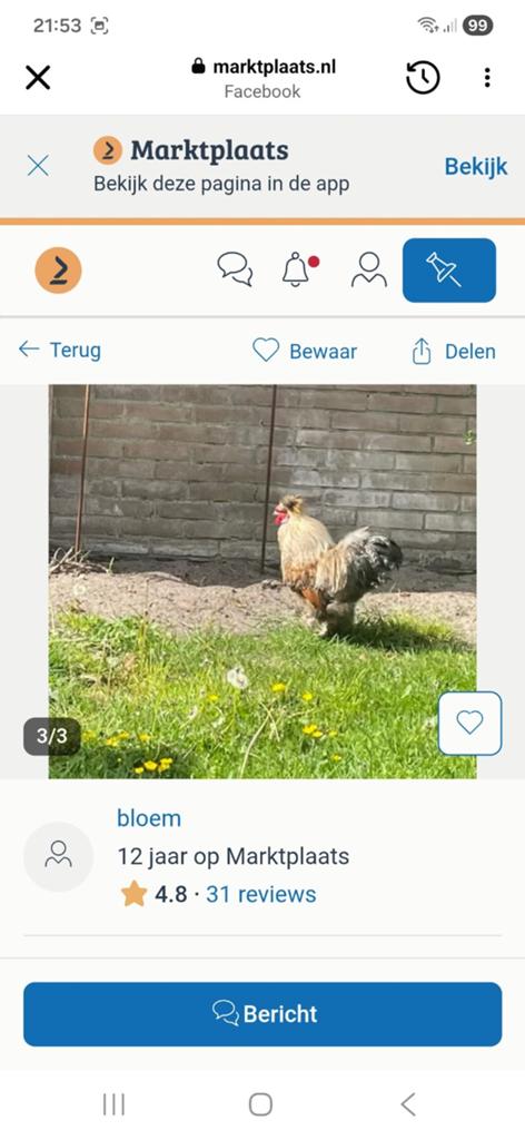 Zijdehoen haan gratis, Dieren en Toebehoren, Pluimvee, Mannelijk, Kip