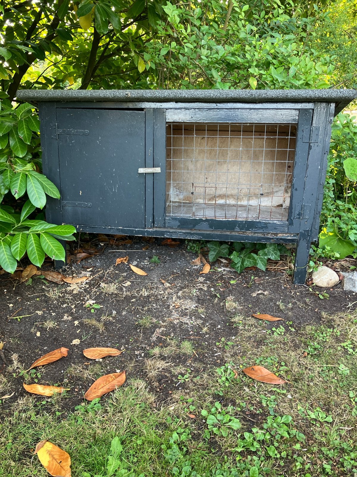 Gratis konijnenhok, Dieren en Toebehoren, Knaagdieren en Konijnen | Hokken en Kooien, Ophalen, 60 tot 90 cm, Hok, 110 cm of meer