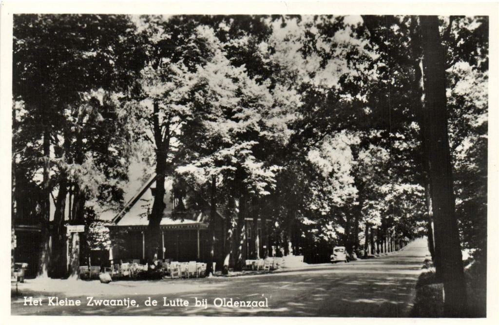 Het Kleine Zwaantje, de Lutte bij Oldenzaal - 1953 gelopen, Verzenden, 1940 tot 1960, Gelopen, Noord-Brabant