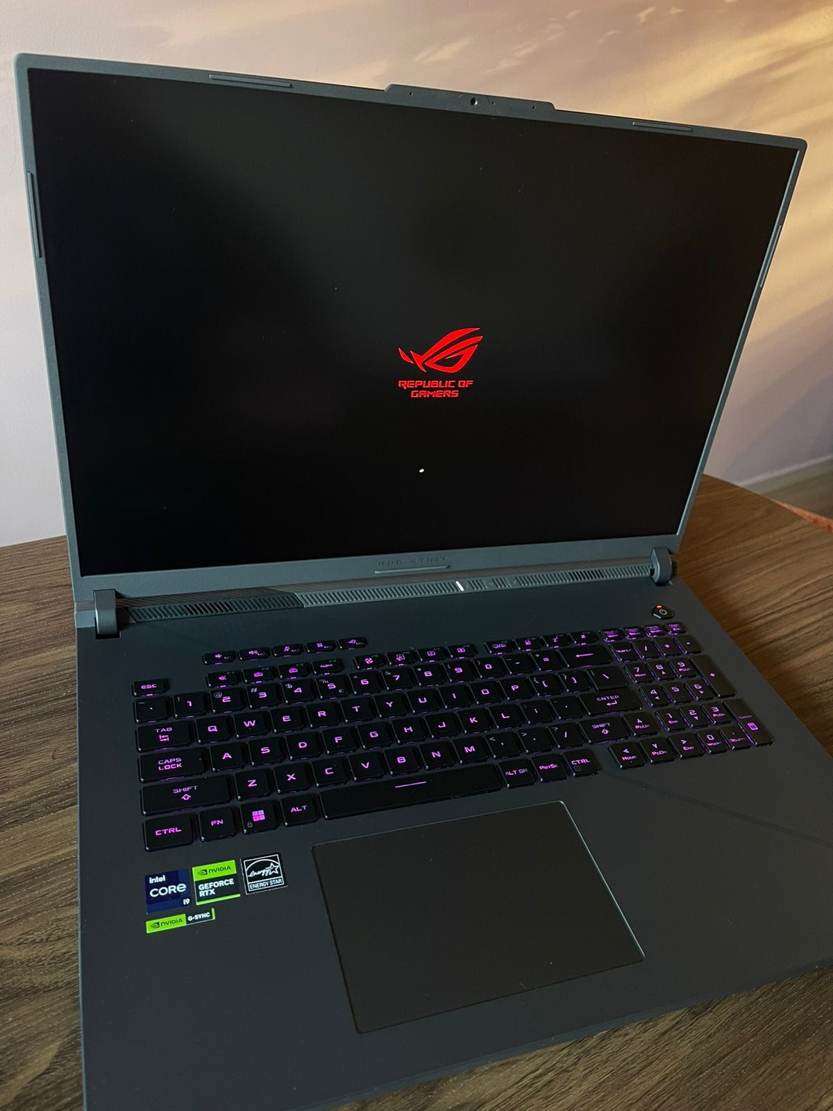 ASUS ROG Strix G18 | Intel Core i9 | GeForce RTX | 18 inch, Computers en Software, Ophalen, Zo goed als nieuw, Gaming, SSD