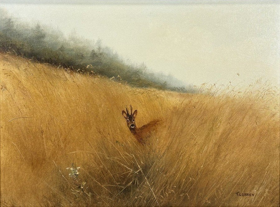 857. Olieverfschilderij, T. Lukkien – reebok, 20e eeuw