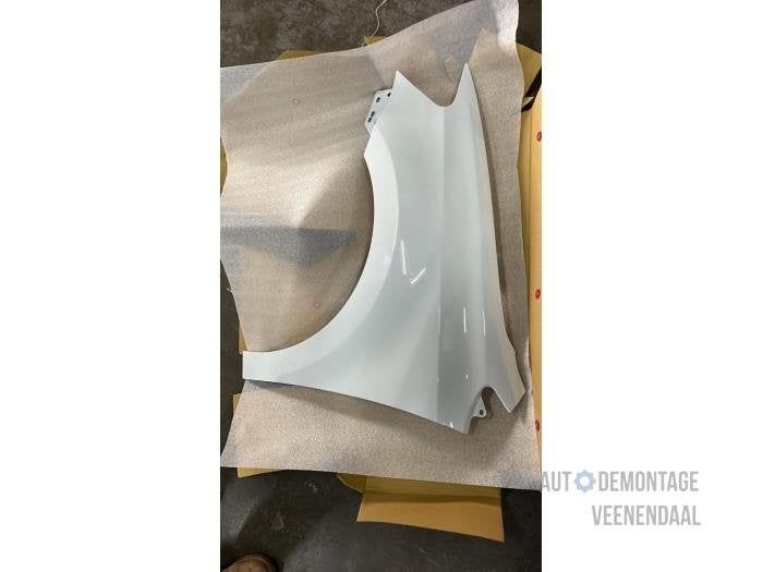 Scherm links-voor van een Volkswagen Polo (LC9A), -, Volkswagen, -, Nieuw