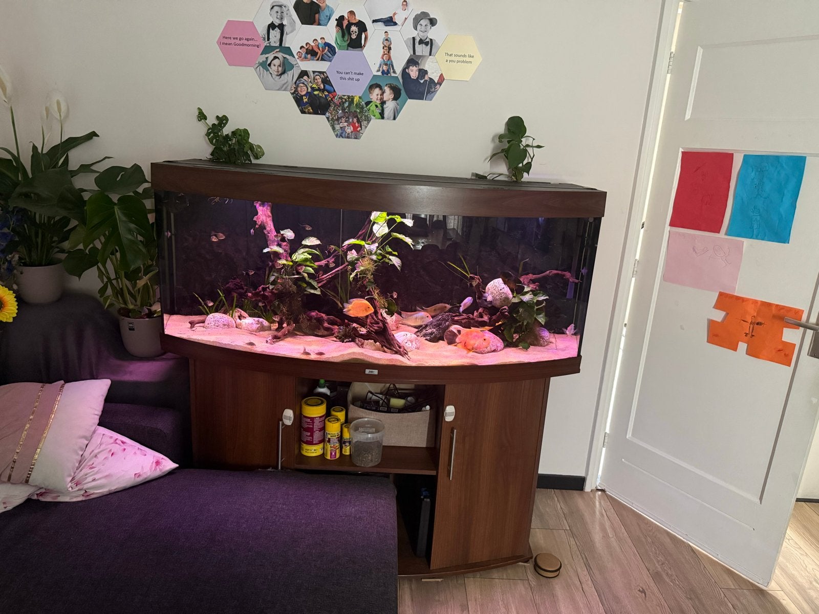Juwel aauarium 450 liter, Ophalen, Gebruikt, Juwel