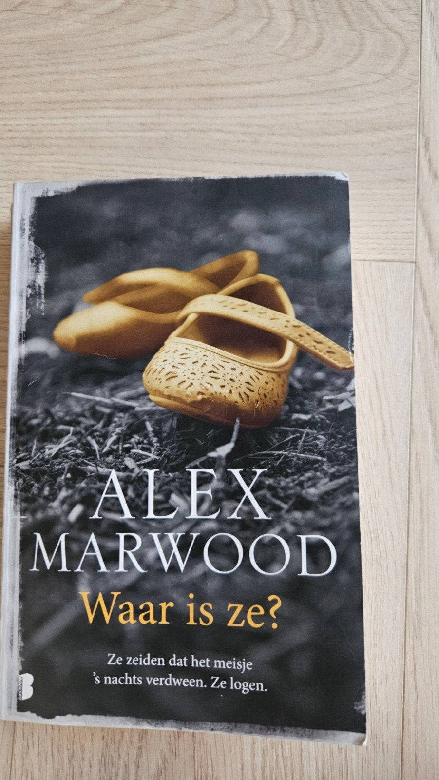 Waar is ze? - Alex Marwood (Psychologische thriller), Ophalen of Verzenden, Gelezen, Alex Marwood, Wereld overig