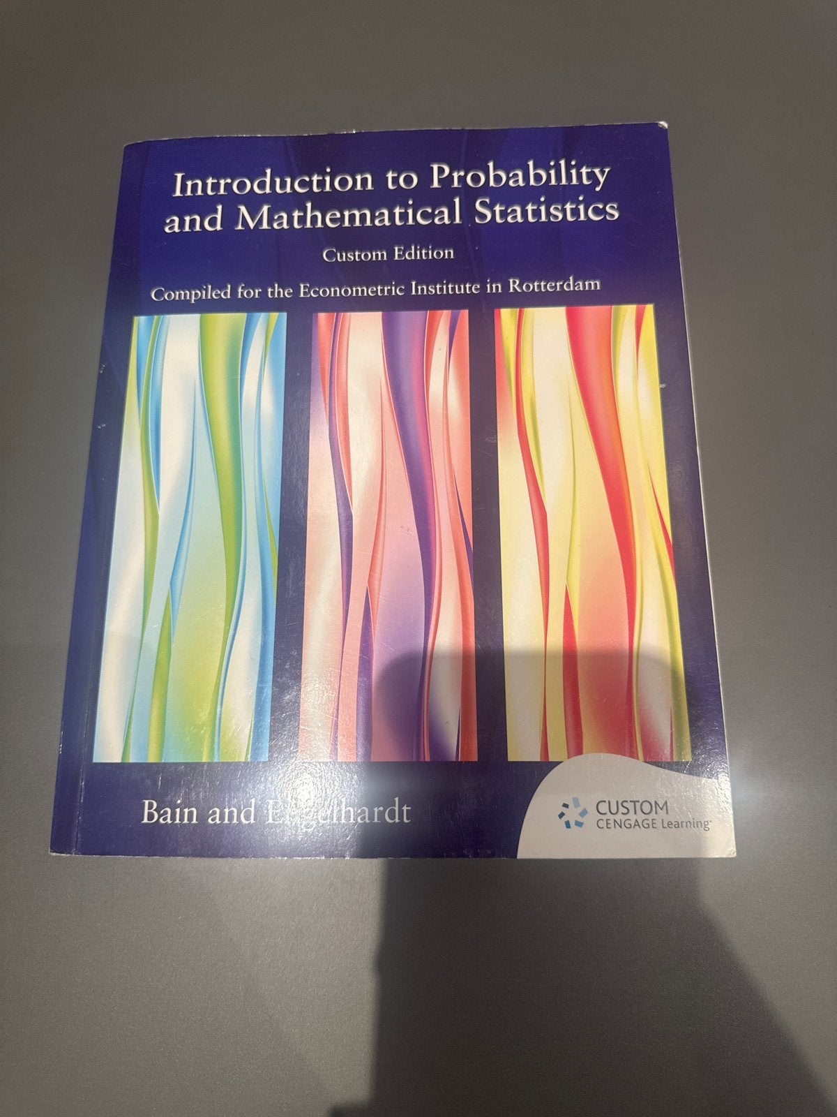 Introduction to Probability and Mathematical Econometrie, Boeken, Ophalen of Verzenden, Beta, Zo goed als nieuw, WO