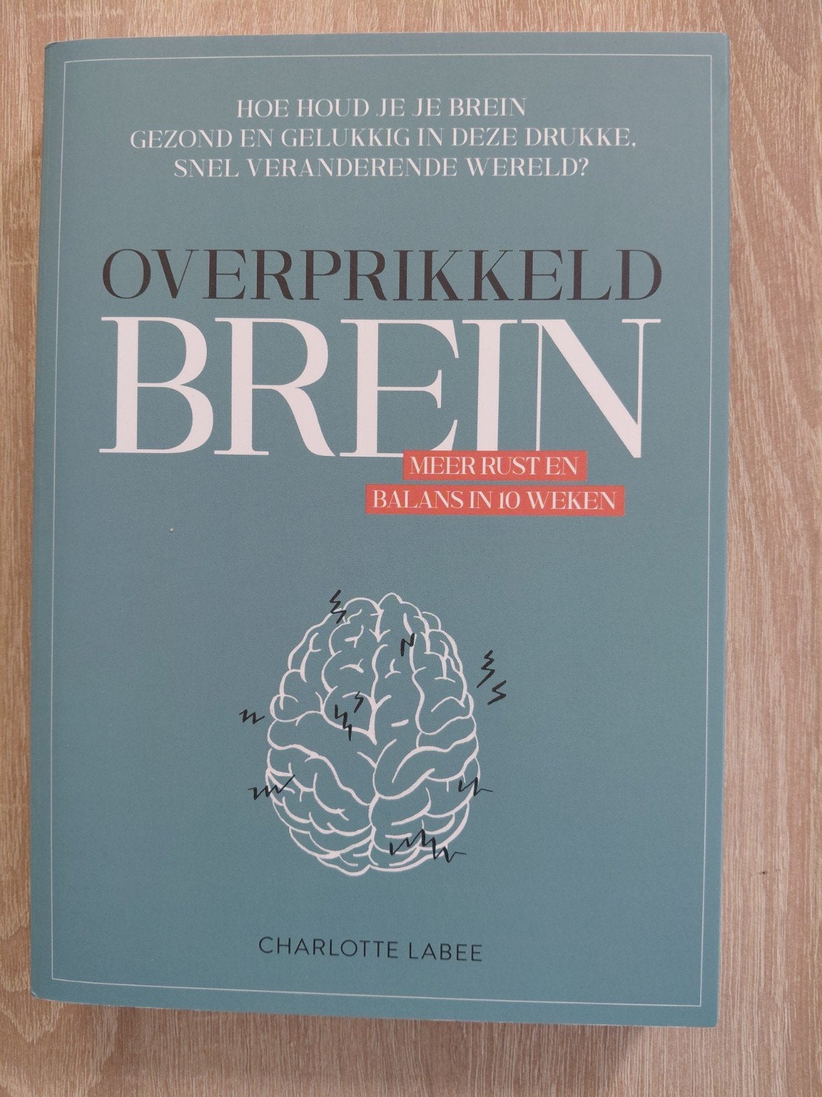 Charlotte Labee - Overprikkeld brein, Ophalen of Verzenden, Zo goed als nieuw, Charlotte Labee