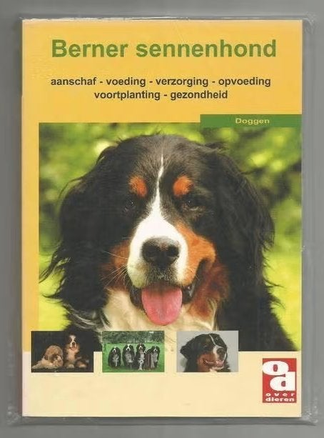 Berner Sennenhond, Ophalen of Verzenden, Nieuw, Honden