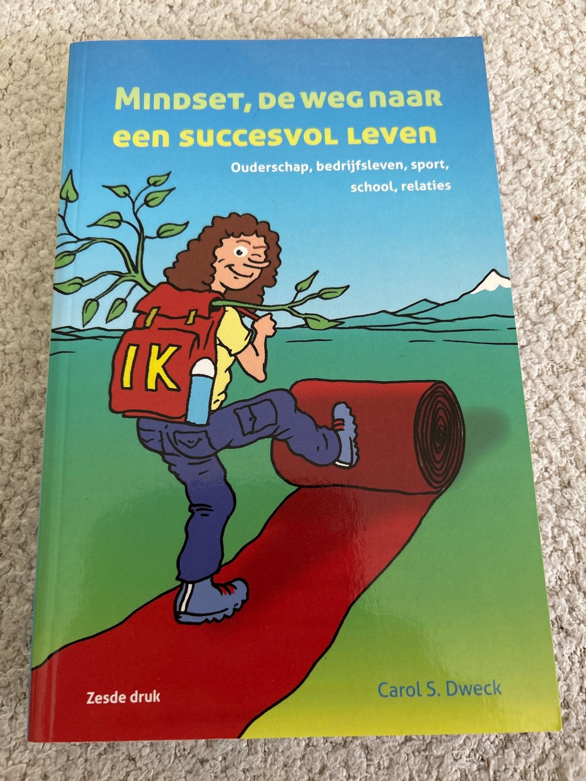 Mindset, de weg naar een succesvol leven - Carol S. Dweck, Ophalen of Verzenden, Zo goed als nieuw, Overige onderwerpen