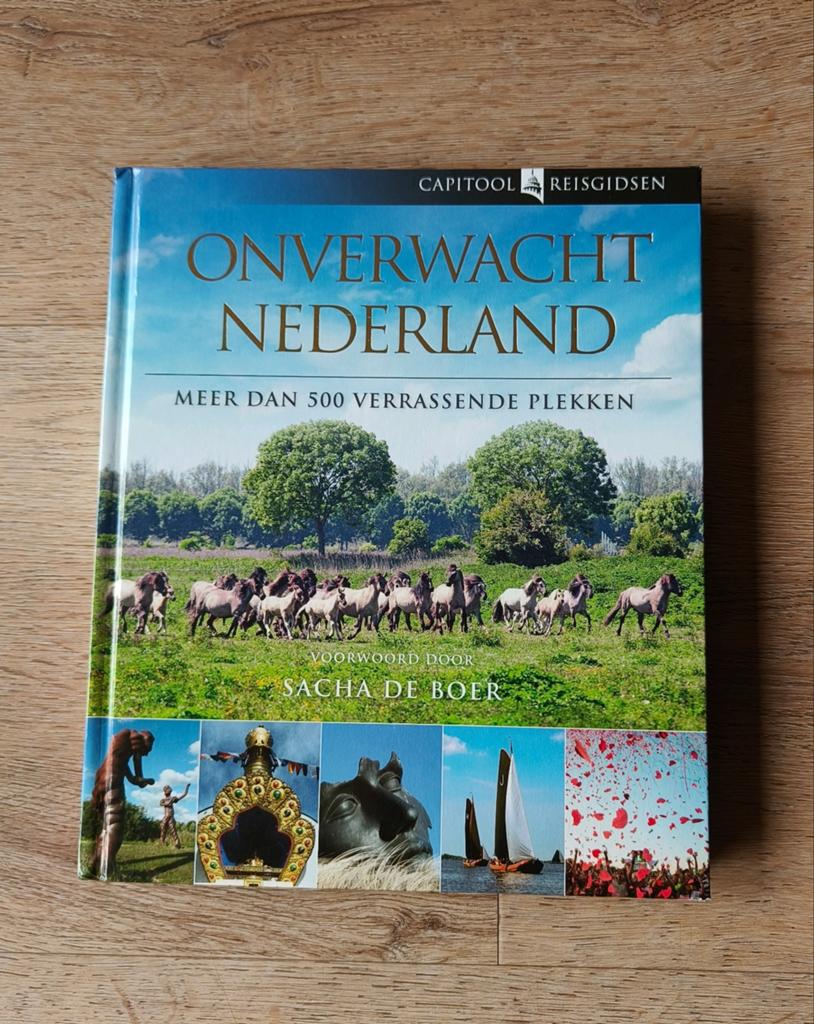 Onverwacht Nederland - Capitool Reisgids - Zo goed als nieuw, Boeken, Ophalen of Verzenden