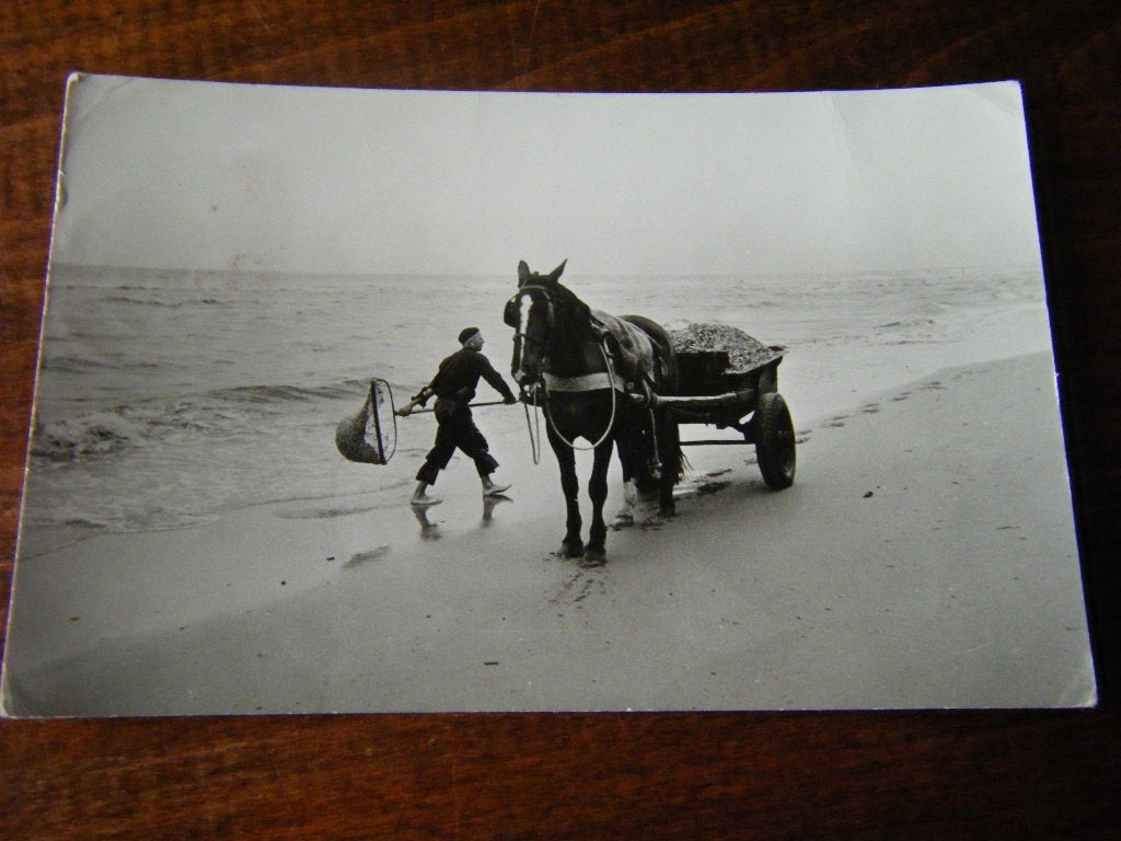 M38 - Schelpenvisser - Strand - 1958 - Mooi/Oud, Ophalen of Verzenden, 1940 tot 1960, Zuid-Holland