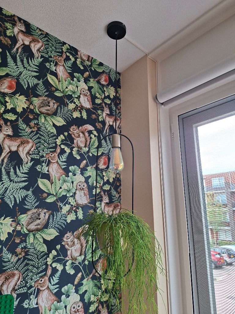 Hanglamp, Huis en Inrichting, Lampen | Hanglampen, Ophalen, Nieuw, Metaal