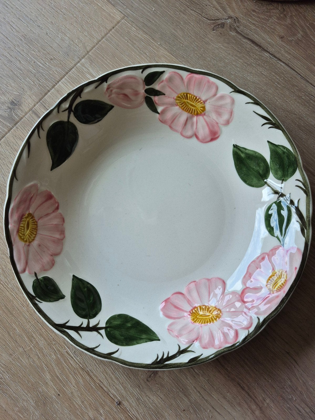 Villeroy & Boch Wild-Rose Diep Bord - Handgeschilderd, Ophalen, Villeroy & Boch, Vintage, Zo goed als nieuw