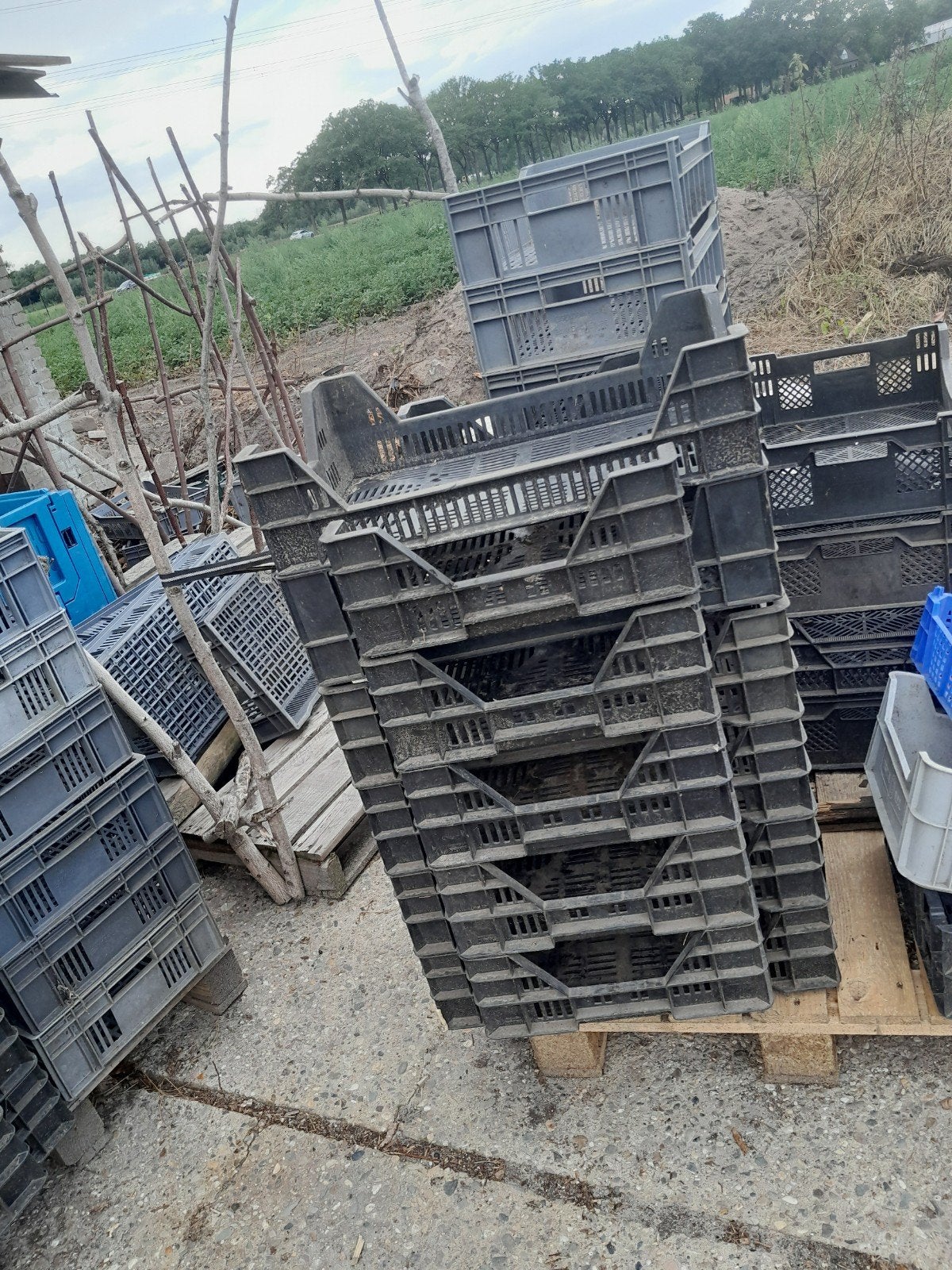 Diverse gebruikte kratten en bakken, Ophalen, Gebruikt, 40 tot 60 cm, 50 tot 75 cm