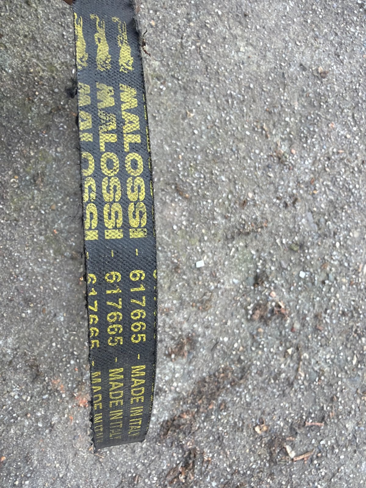 Malossi V-snaar 617665 - Made in Italy, Ophalen of Verzenden, Gebruikt, Overige typen