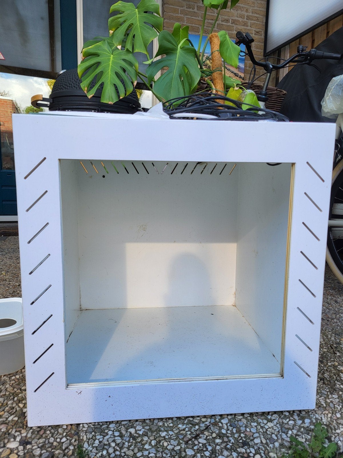 IMCAGES terrarium 60x60x60, Ophalen of Verzenden, Gebruikt, Terrarium of Paludarium
