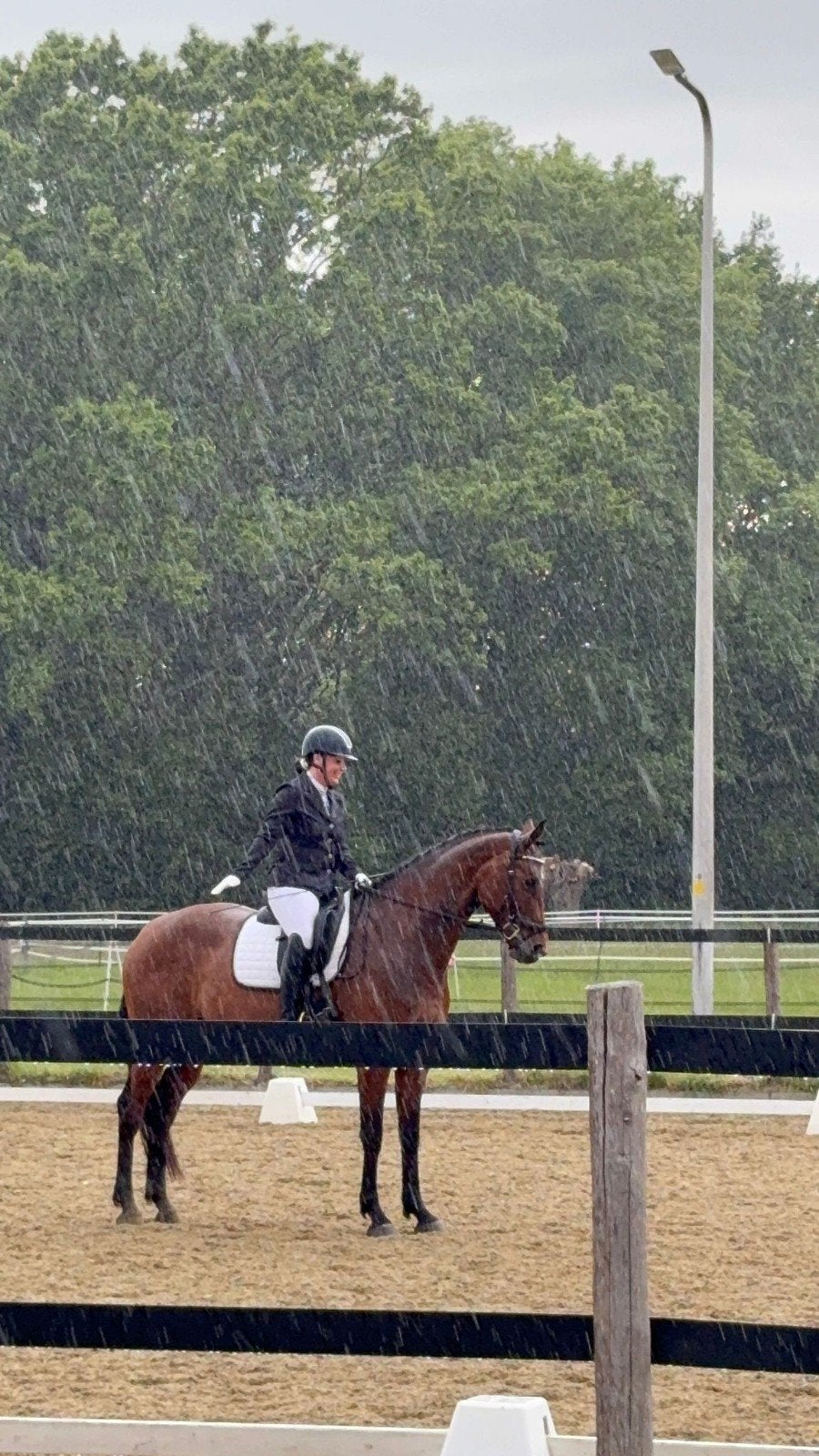 Instructrice Paardensport – Ontspanning & Correcte Basis, Diensten en Vakmensen, Dieren | Paarden | Verzorging, Oppas en Les