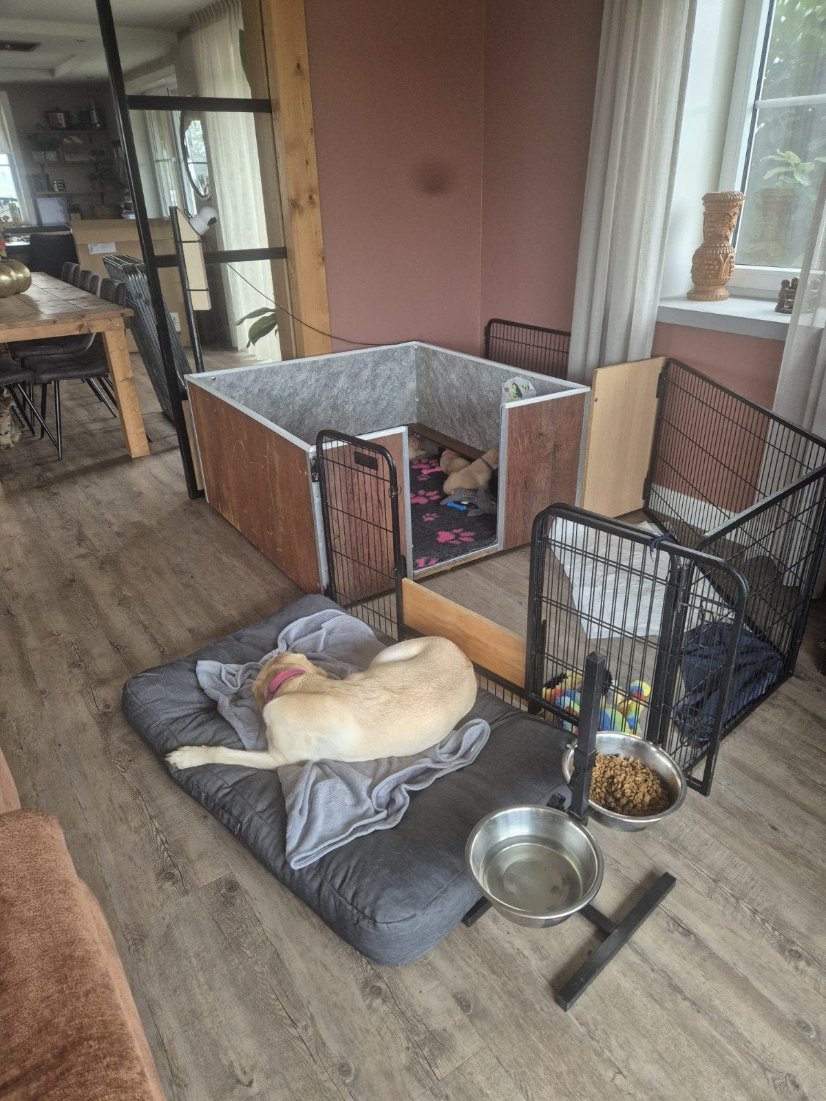 werpkist, Ophalen, Hondenkennel, Minder dan 65 cm, 110 cm of meer
