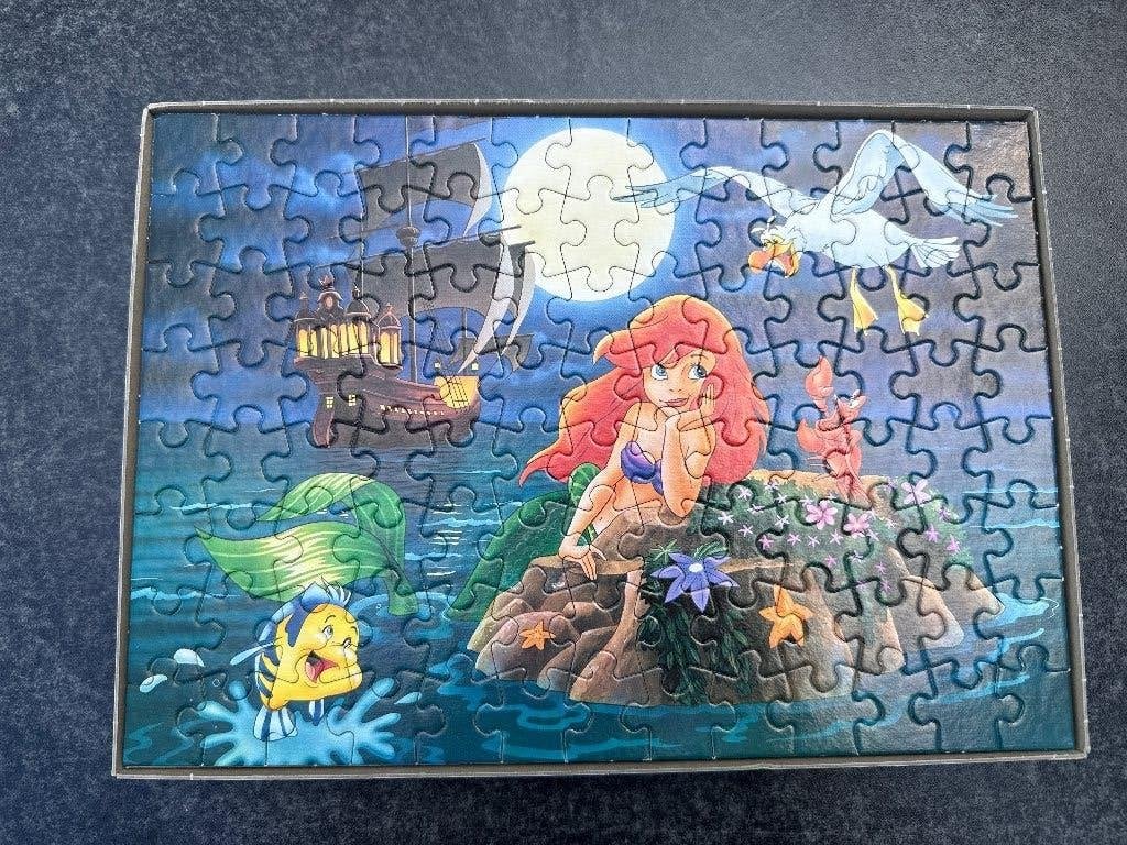 Puzzel, Ophalen of Verzenden, Minder dan 500 stukjes, Gebruikt
