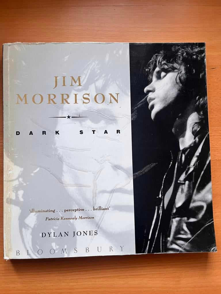 JIM MORRISON ️ DARK STAR . Boek, Ophalen of Verzenden, Zo goed als nieuw