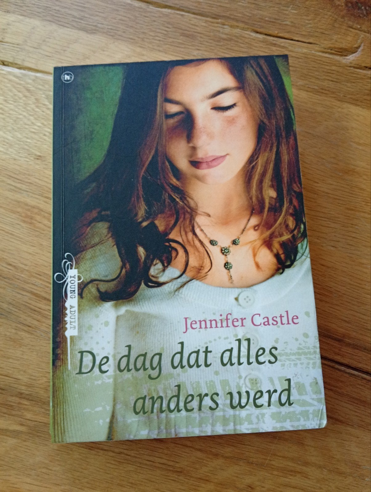 De dag dat alles anders werd - Jennifer Castle, Ophalen of Verzenden, Gelezen, Jennifer Castle, Wereld overig
