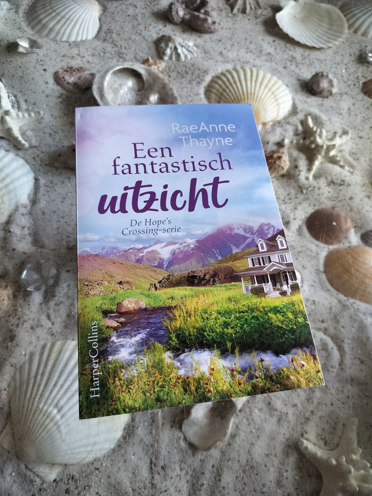 RaeAnne Thayne - Een fantastisch uitzicht - Hope's Crossing, Ophalen of Verzenden, Zo goed als nieuw, RaeAnne Thayne