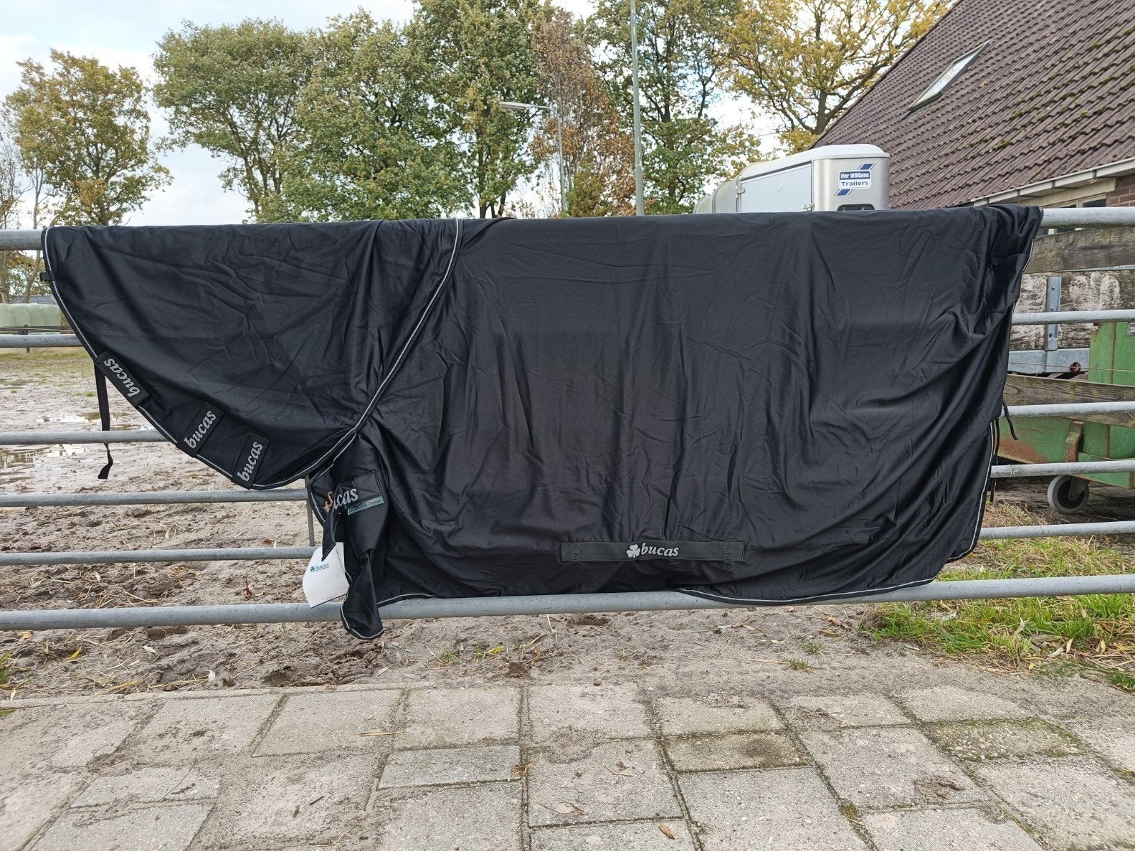 Bucas Shamrock Power full neck maat 190, Ophalen of Verzenden, Nieuw