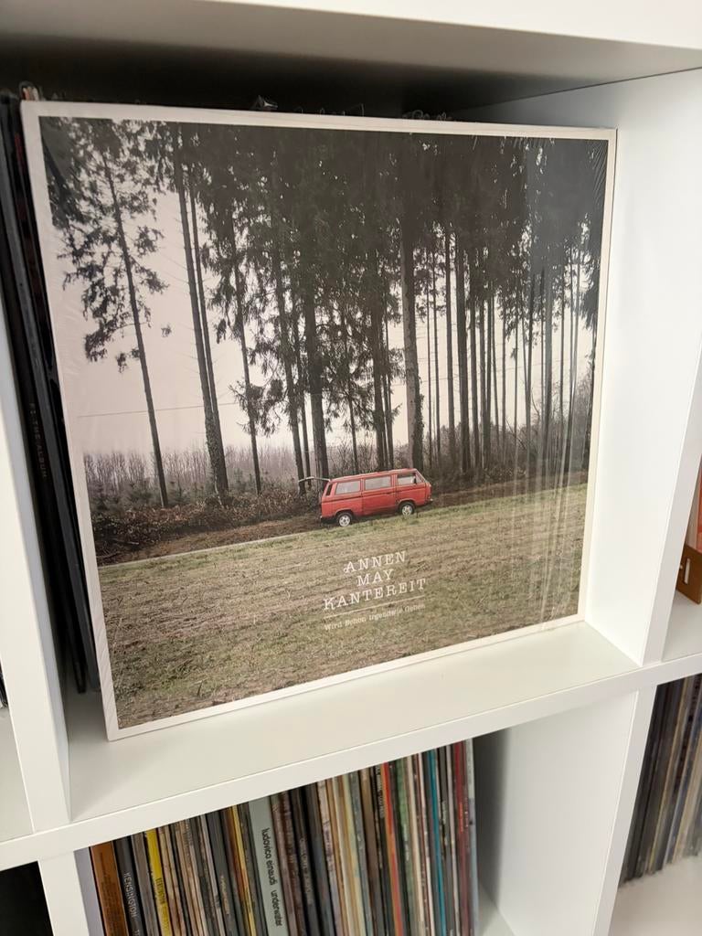 AnnenMayKantereit vinyl, Ophalen of Verzenden, Zo goed als nieuw, 12 inch