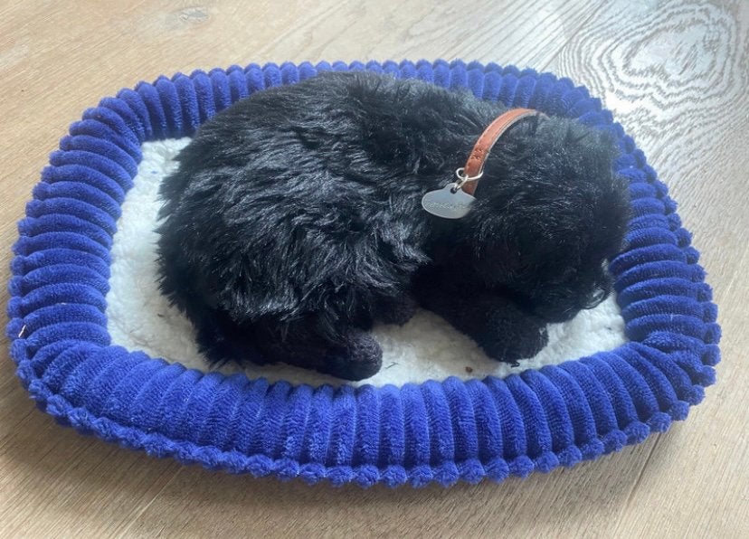 Perfect petzzz Soft labrador zwart, Gebruikt, Overige merken, Overige karakters, Zwart