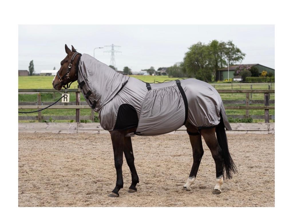 Gloednieuw Harry’s Horse eczeemdeken maat 205, Full (L), Nieuw, Eczeemdeken, Harry's Horse