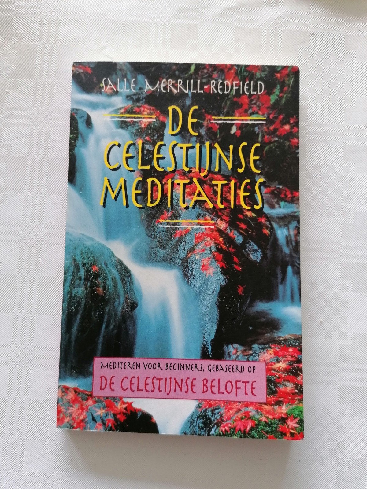 De Celestijnse Meditaties - Salle Merrill-Redfield, Gelezen, Meditatie of Yoga, Ophalen of Verzenden, Instructieboek